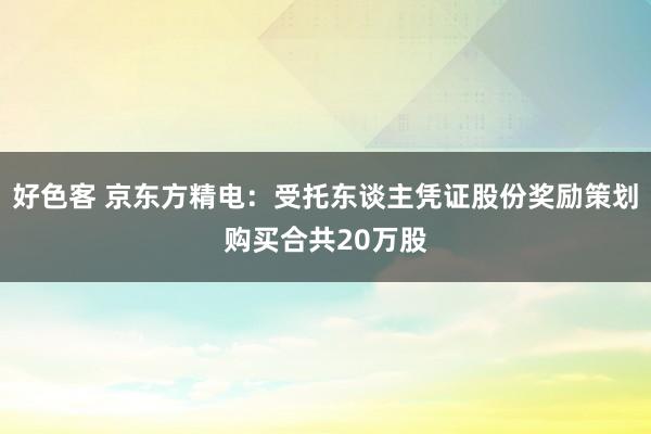 好色客 京东方精电：受托东谈主凭证股份奖励策划购买合共20万股