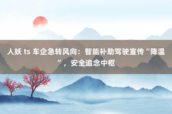 人妖 ts 车企急转风向：智能补助驾驶宣传“降温”，安全追念中枢