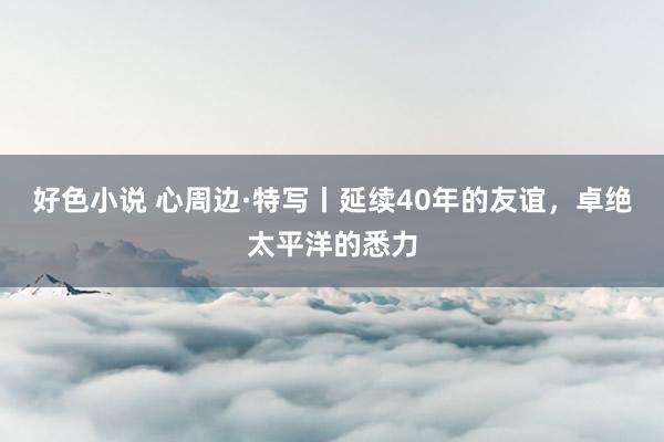 好色小说 心周边·特写丨延续40年的友谊，卓绝太平洋的悉力