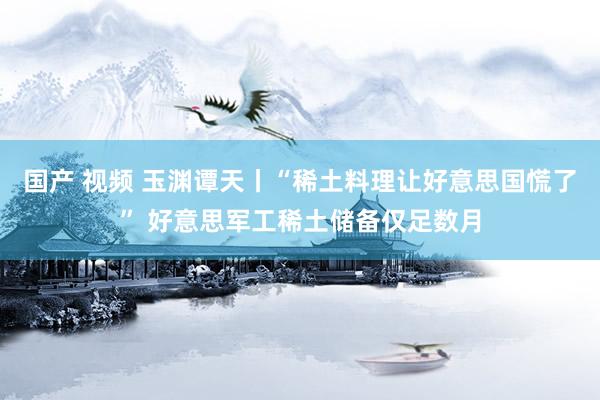 国产 视频 玉渊谭天丨“稀土料理让好意思国慌了” 好意思军工稀土储备仅足数月